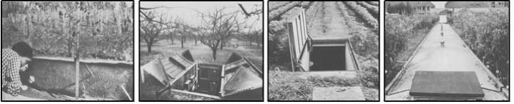 玻璃墻法 玻璃墻法