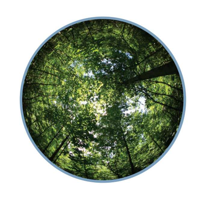 葉面積指數(shù) 葉面積指數(shù)