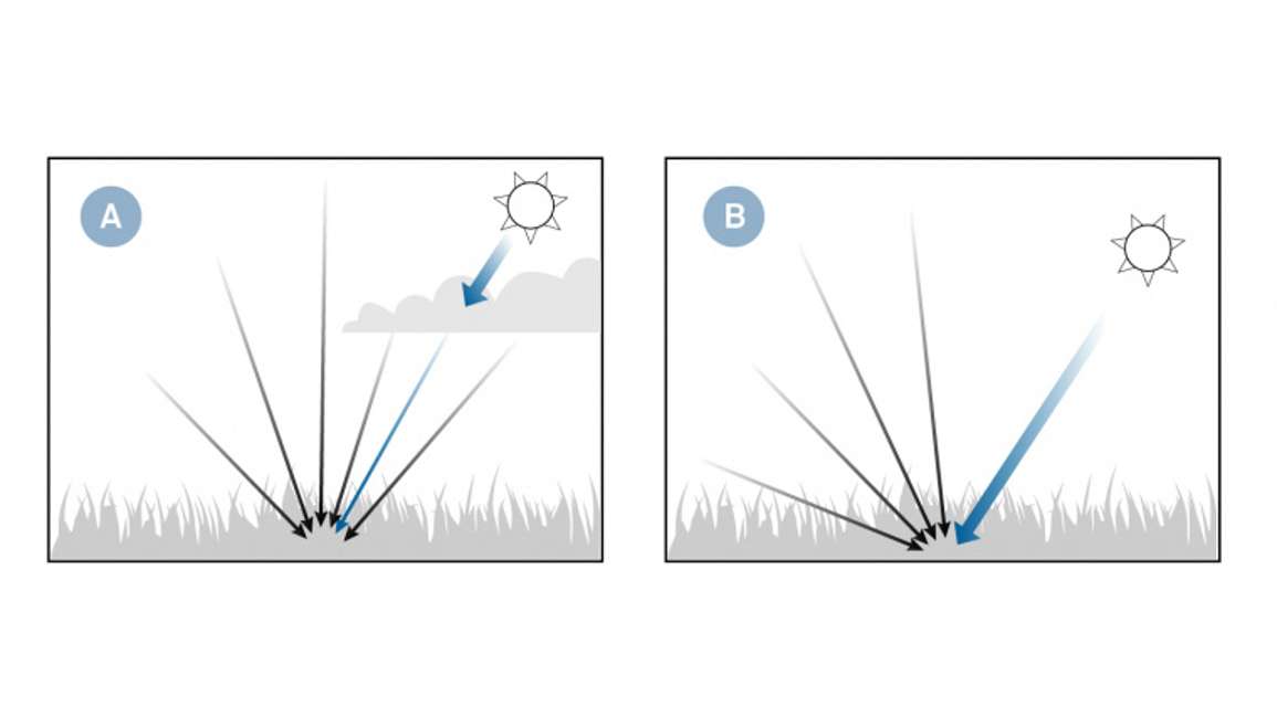 葉面積指數(shù) 葉面積指數(shù)
