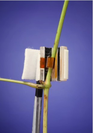 液流傳感器 液流傳感器