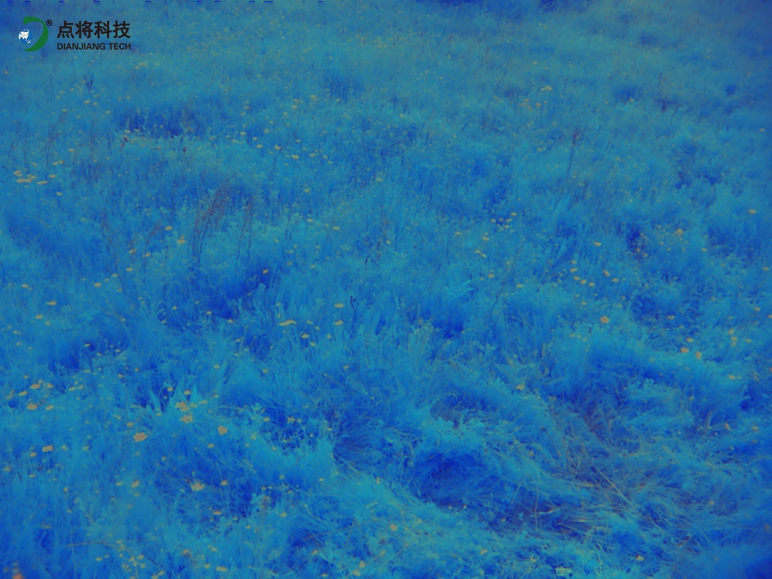 物候相機 物候相機