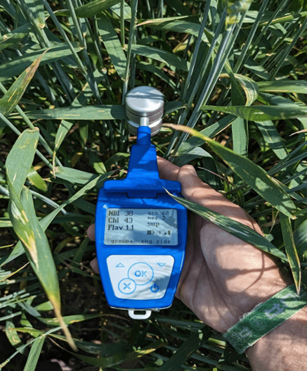 植物葉綠素&多酚測(cè)量儀 植物葉綠素&多酚測(cè)量儀