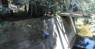 TRU樹木雷達(dá)及其現(xiàn)場應(yīng)用 TRU樹木雷達(dá)及其現(xiàn)場應(yīng)用