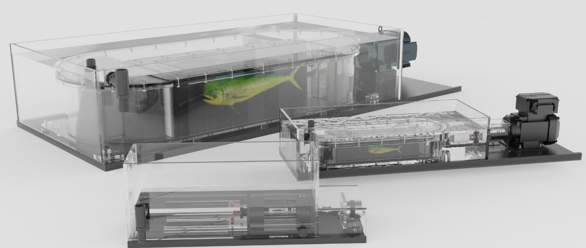 魚類游泳行為記錄系統(tǒng)