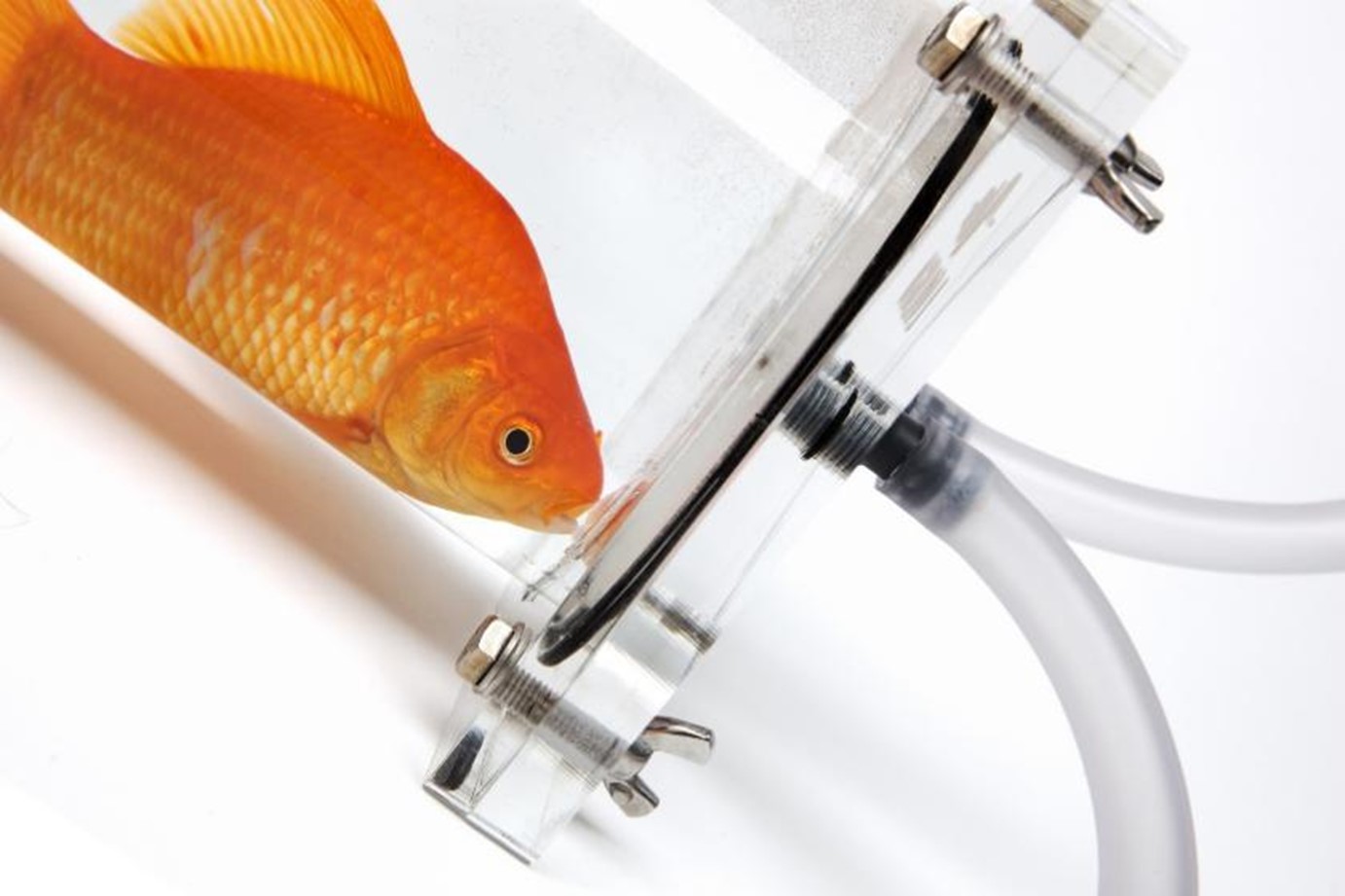 多通道大中型呼吸代謝測量系統(tǒng)