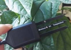 土壤水分溫度傳感器 土壤水分溫度傳感器