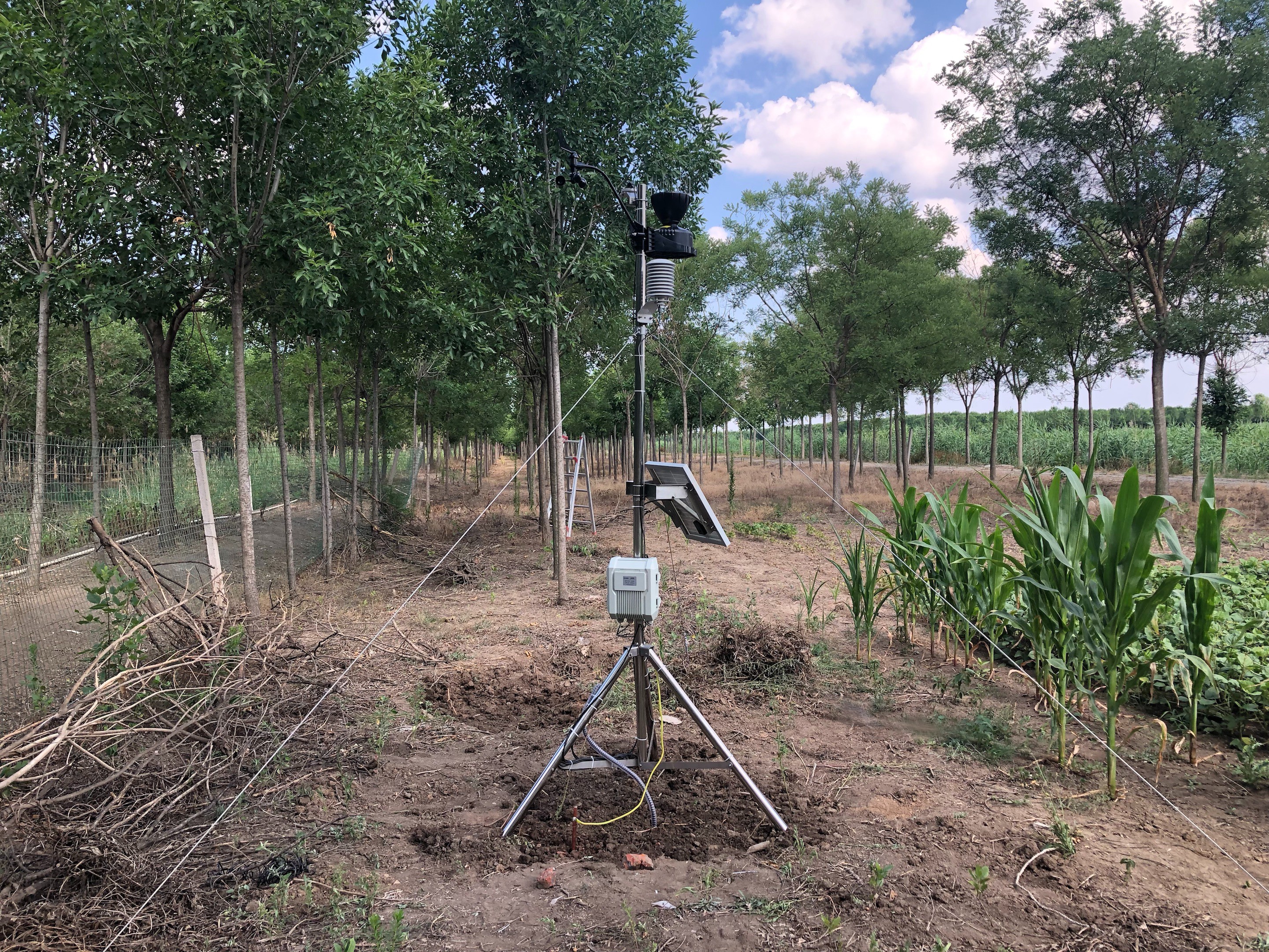 植物霜凍預(yù)警和監(jiān)測系統(tǒng) 植物霜凍預(yù)警和監(jiān)測系統(tǒng)