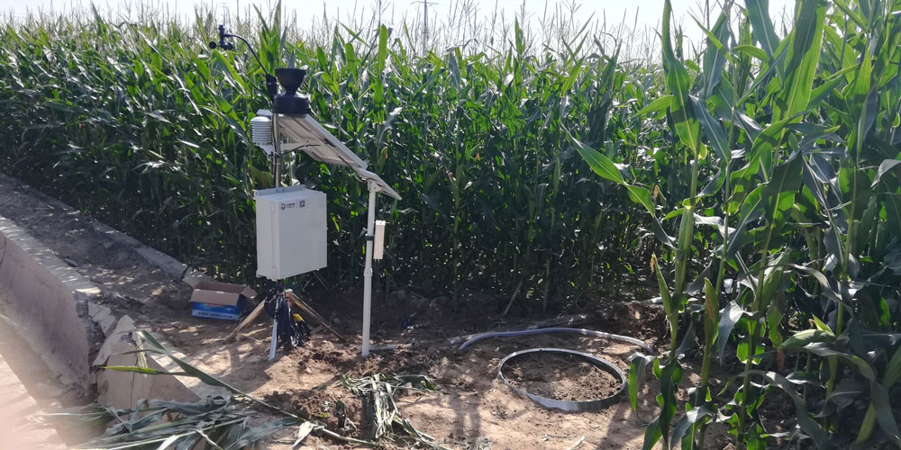 土壤蒸滲 土壤蒸滲