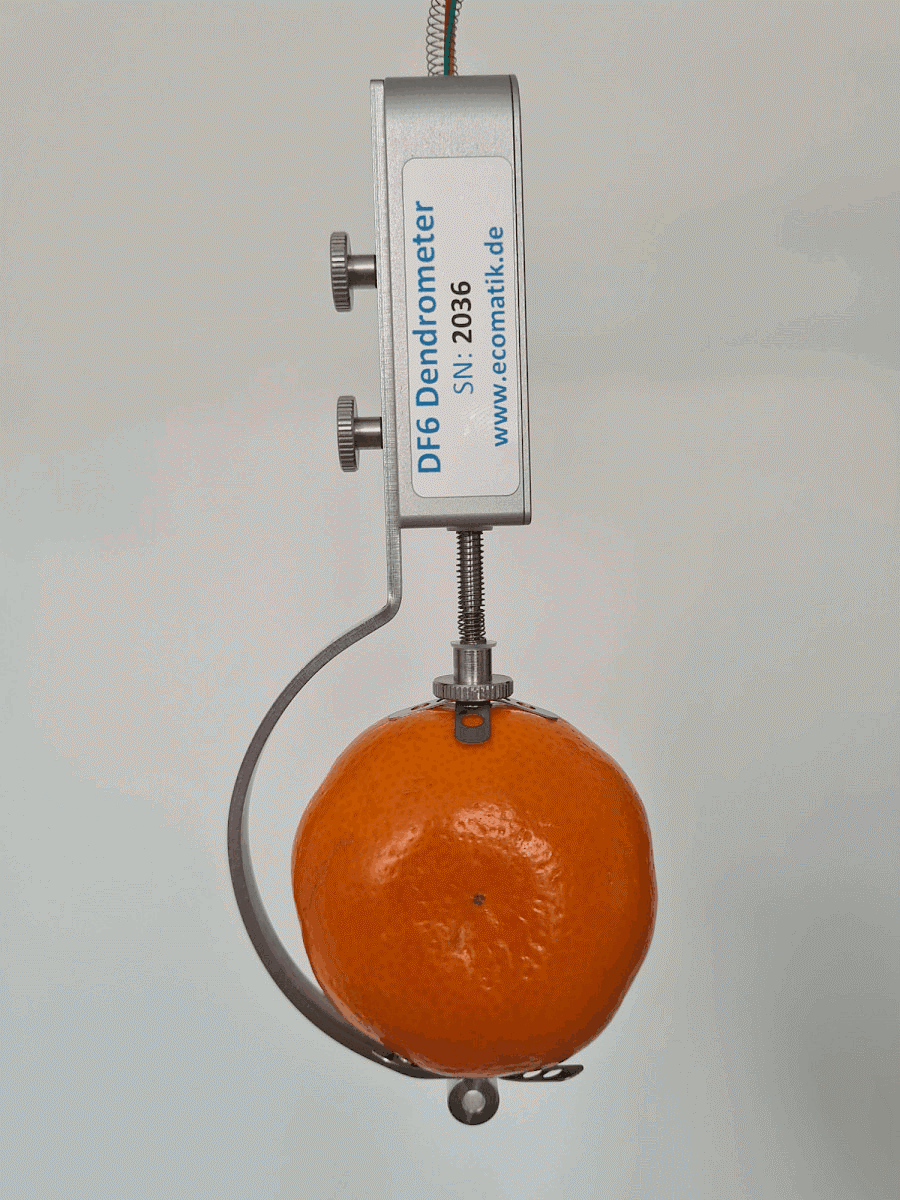 水果、蔬菜生長變化記錄儀