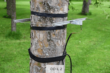 DD-L2直徑生長測(cè)量 DD-L2直徑生長測(cè)量