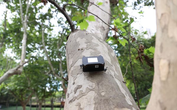 行道樹(shù)傾斜智能監(jiān)測(cè)系統(tǒng)
