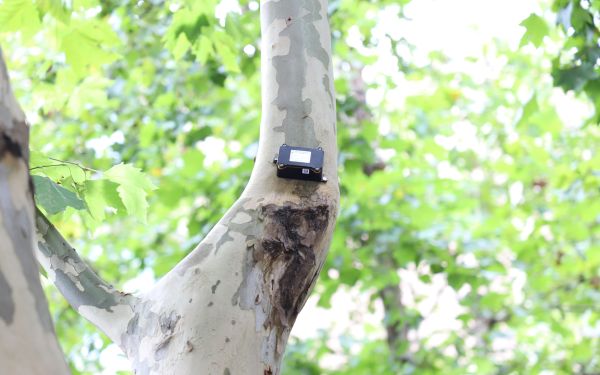 行道樹(shù)傾斜智能監(jiān)測(cè)系統(tǒng)