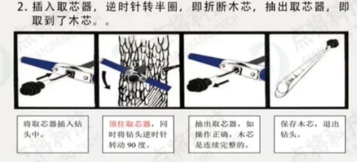 樹(shù)木生長(zhǎng)錐全攻略 樹(shù)木生長(zhǎng)錐全攻略