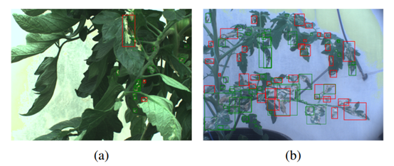 使用Faster-RCNN的檢測結果 