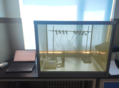 昆蟲刺吸電位儀 昆蟲刺吸電位儀