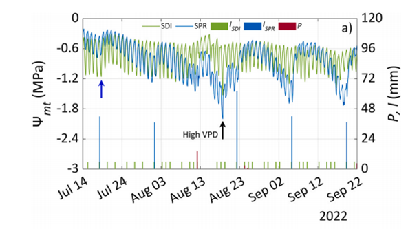 柑橘（橘子）果園的連續(xù)水勢(shì)監(jiān)測(cè)