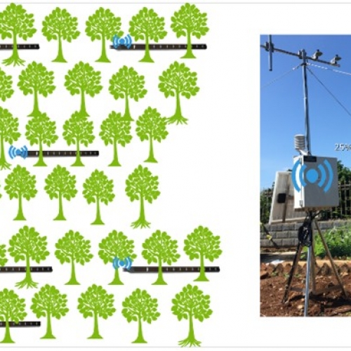 DJ-6312A 在線(xiàn)區(qū)域LAI監(jiān)測(cè)系統(tǒng)